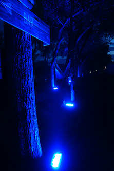 Cool lights at night
